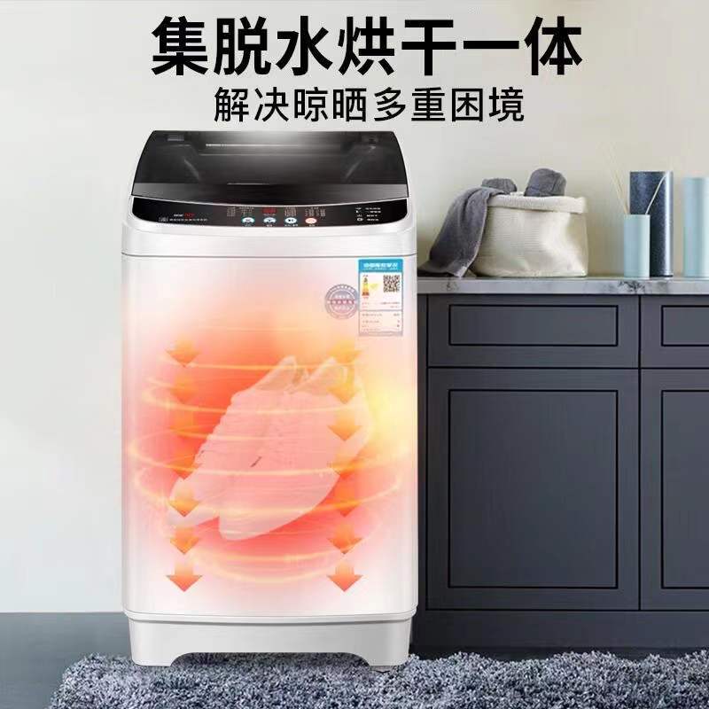 志高(CHIGO) 8.5全自动洗烘款 大容量家用全自动洗鞋机 懒人洗鞋神器刷鞋机 可脱水 可烘干 桶自洁风干高清大图