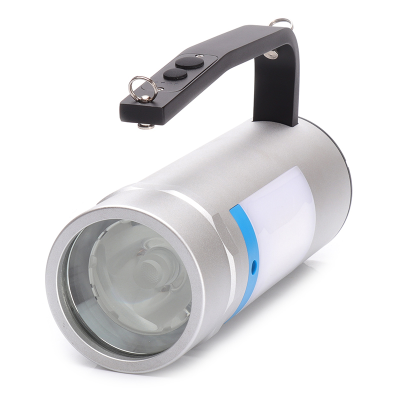 简鼎 JD6311D 12W IP67 DC22.2V LED 手提式探照灯(计价单位：盏) 银色