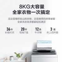 小天鹅(LittleSwan) 8公斤 全自动波轮洗衣机 2级能效 节能低功耗 自清洁 洗脱一体机 TB80V20