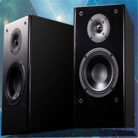 迪杰锐声(DIGIRESEARCH) 扬声器 DVS4