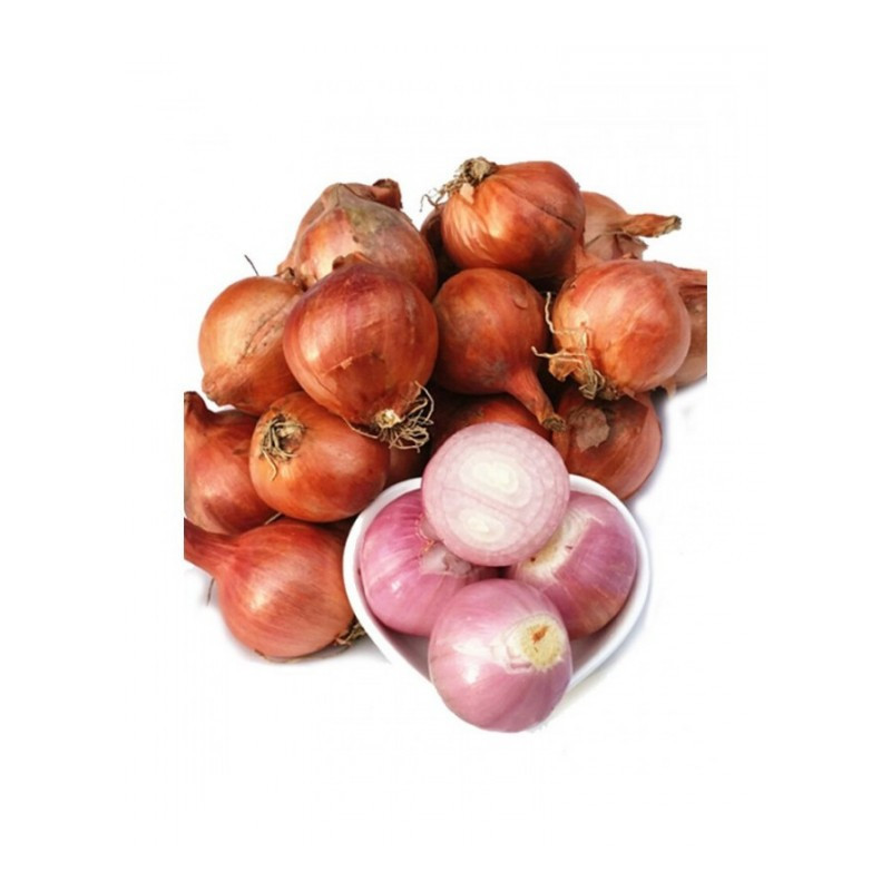 博多客东北小毛葱毛葱头珠葱小圆葱红葱头新鲜蔬菜