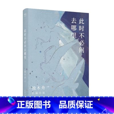【正版】此时不必问去哪里 独木舟2020新书青春文学励志爱情当代小说