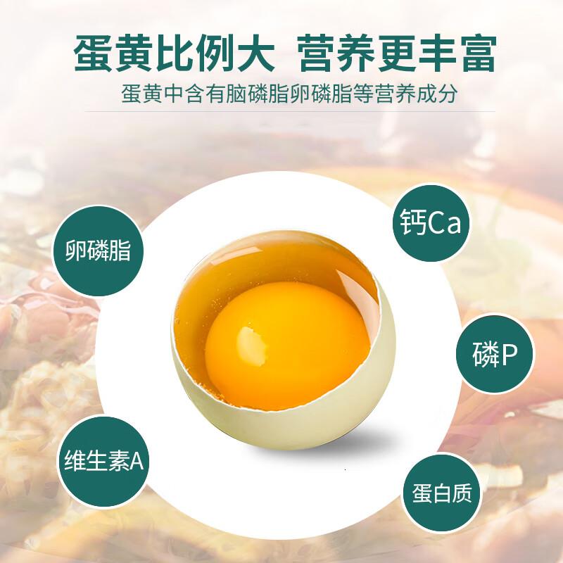 神丹绿壳蛋30枚2.46斤可生食无抗生素绿壳鸡蛋高清大图