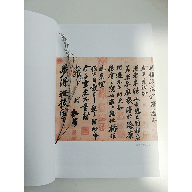 醉染图书苏东坡:是人间真情味97872011464图片