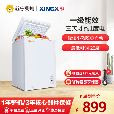 星星(XINGX) 90升家用冰柜 冷柜 冷藏冷冻转换冰柜 顶开门 迷你小冰箱 节能省电 (白色) BD/BC-90E