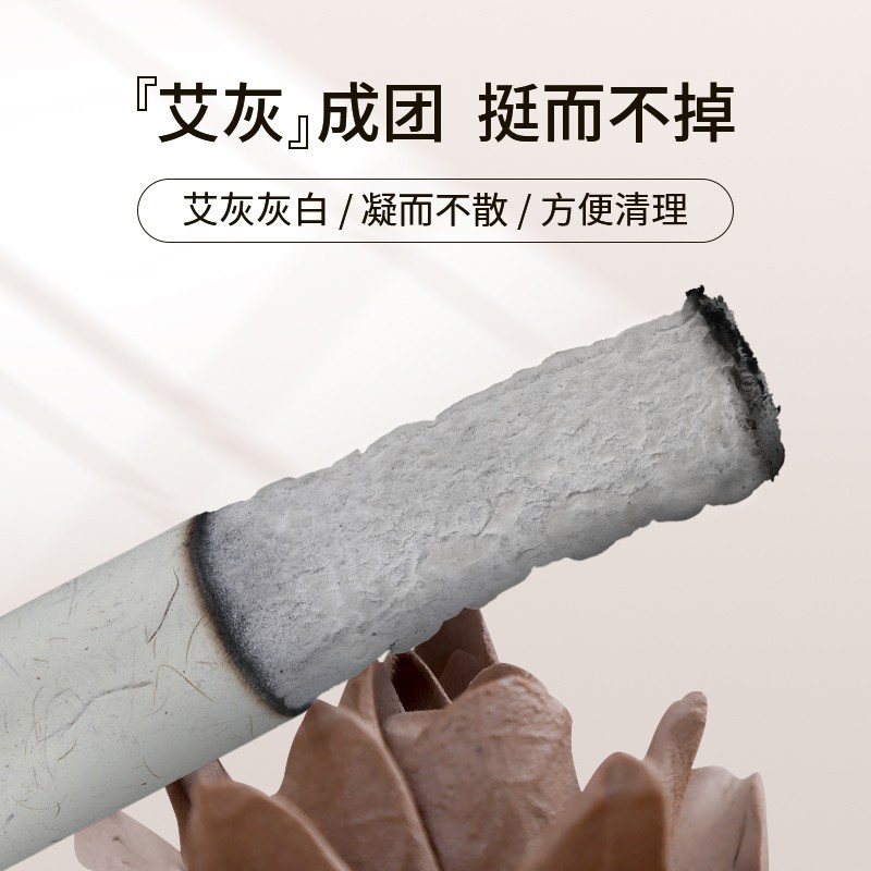 艾修堂艾条艾柱陈年黄金艾绒艾灸盒艾灸棒艾条蕲艾条(10支装)(白色版)