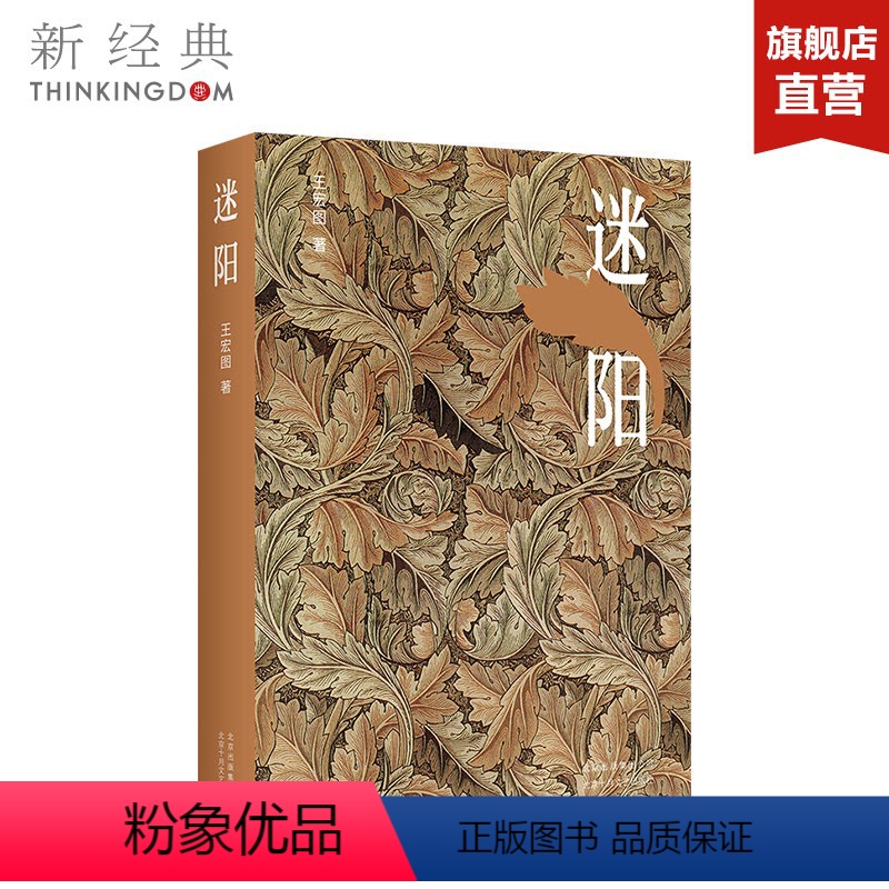 [正版]迷阳 王宏图 当代知识分子的情感围城 学院派小说家王宏图的长篇力作 小说 图书