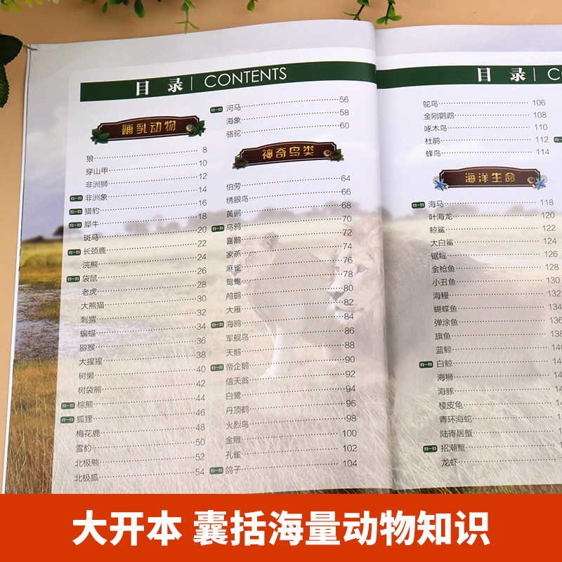 [醉染正版]动物大百科 动物百科全书儿童趣味阅读7一10-12岁小学生课外阅读书籍科普读物非dk认知绘本揭秘动物认知书生高清大图