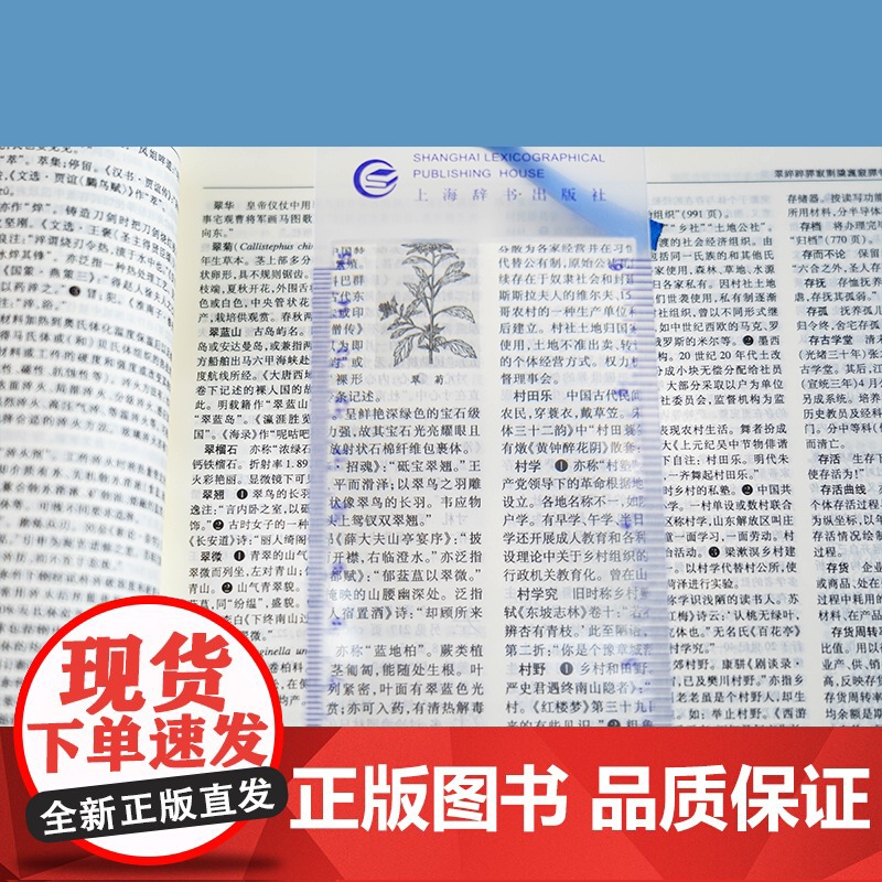 [央视网]辞海 第七版 缩印本 集字典语文词典和百科词典于一体的综合性辞书总条目近13万条综合性百科全书 DD高清大图