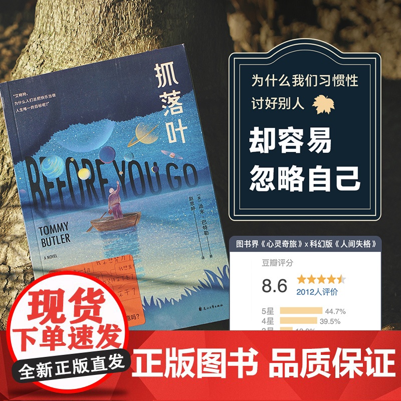 【小嘉 】抓落叶 2024版 汤米.巴特勒著 心理治愈我们都是生命的旅人抵达终点就是人生的意义 思考人生的意义外国小说书