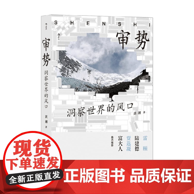 审势 洞察世界的风口 黄湘 著 社会科学高清大图