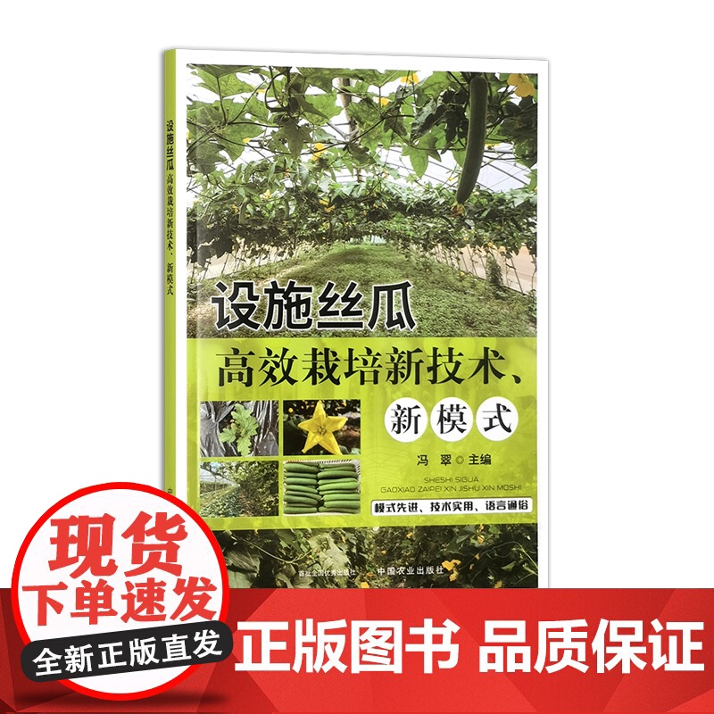 设施丝瓜高效栽培新技术、新模式 319905 冯翠 大32开 2024/6高清大图