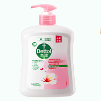 滴露(Dettol)抑菌洗手液滋润倍护500克儿童适用不含酒精