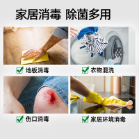 滴露(Dettol)消毒液1.2L杀菌除螨 家居室内 宠物环境消毒 儿童宝宝内衣 衣物除菌剂