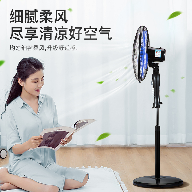 奥克斯(AUX)电风扇家用床头定时落地扇 节能立式办公室轻音风扇FS-40-A1609