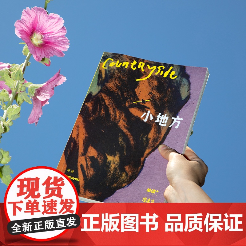 正版 小地方 单读PLUS漫象集特约主编杨成桦Papayep工作室联合独立漫画记录乡村县城变化上海文艺出版社单向空间高清大图