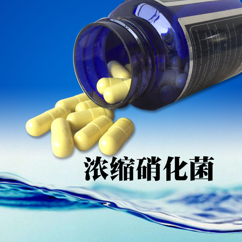 硝化细菌水族活菌酶干粉胶囊水质净化淡海水龙鱼水锦鲤魟鱼高清大图