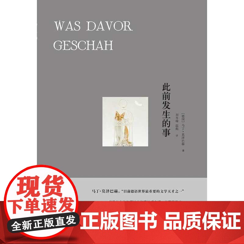 此前发生的事 马丁·莫泽巴赫 译林出版社 正版书籍高清大图