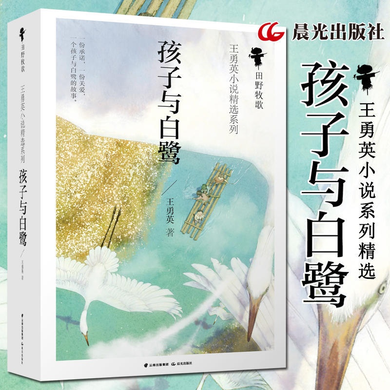 [正版]孩子与白鹭 王勇英 晨光出版社 青少年版小学三年级阅读四五六年级课外书彩色插图版风信子纯美儿童文学小说系列高清大图