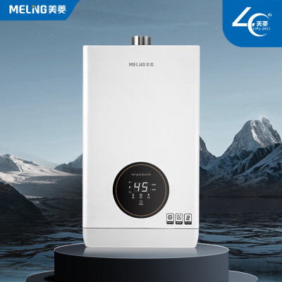 美菱 JSQ23-MR-PS212G(含安装人工) 燃气热水器 12升 二级效能 家用燃气热水器恒温 开机安全自检