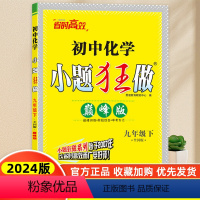 [正版]2024 恩波教育 巅峰版 初中化学 小题狂做 九年级 9年级下册 全国版人教版RJ 非一般的提优方法滚动训练