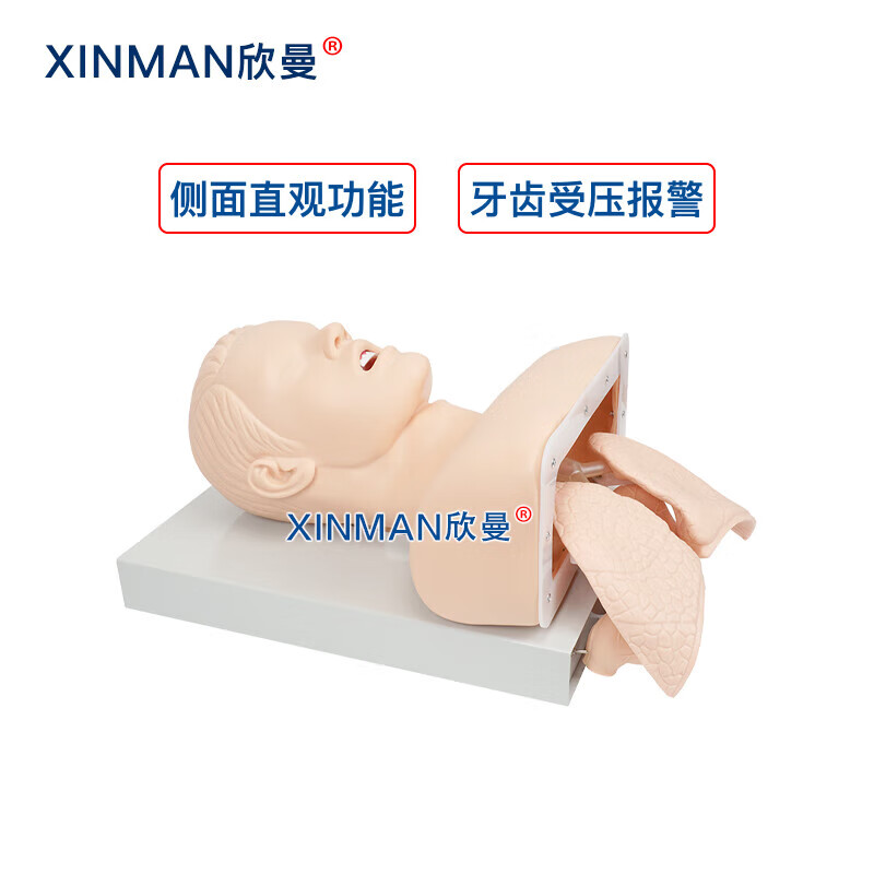 欣曼科教 高级成人气管插管操作训练模型 气道管理模拟人 急救气管插管模拟人XM-5800高清大图