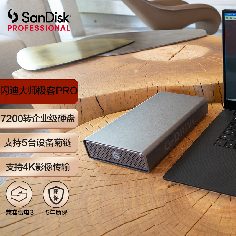 闪迪大师G-Technology6TB企业桌面硬盘3.5英寸PRO版传输速度250MB/S兼容Type-C/USB