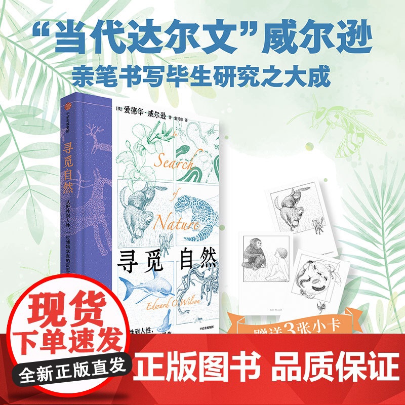 寻觅自然 从野性到人性 一位博物学家的沉思集 爱德华·威尔逊 著 科普读物高清大图