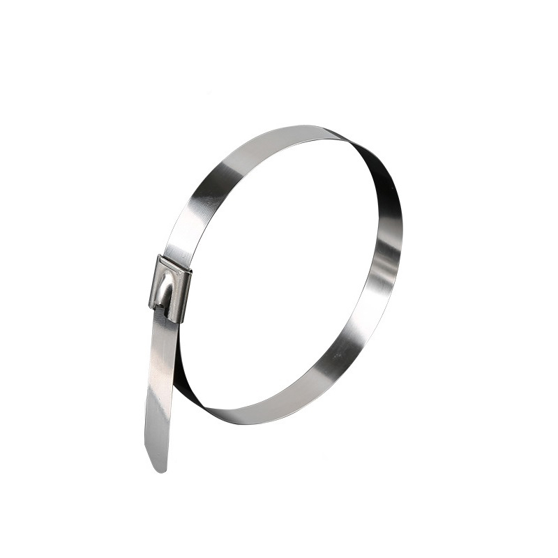 捷犀 不锈钢扎带 12*900mm100条/包高清大图