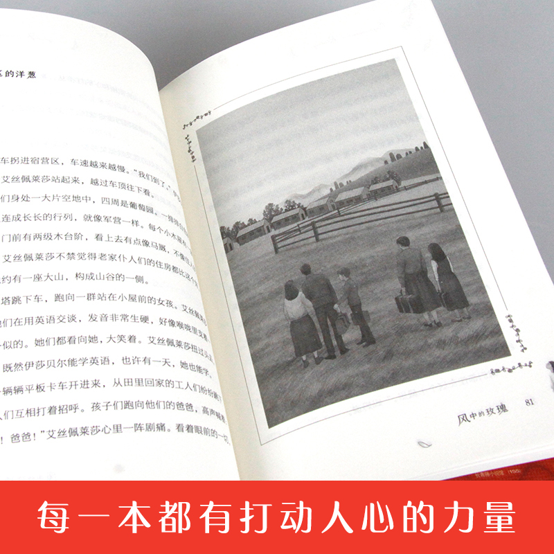风中的玫瑰 [正版]风中的玫瑰(2022百班千人暑期书单 六年级阅读)
