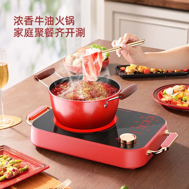 龙的(Longde)LD-DTL2282电陶炉家用电磁炉9档控温2200W大功率图片