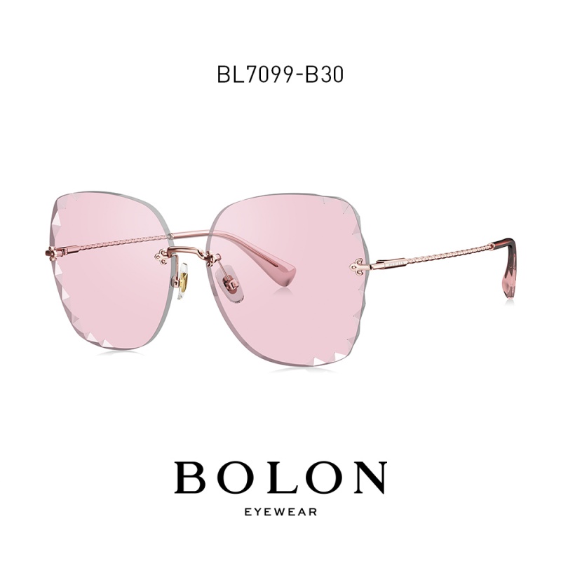 暴龙2020新款太阳镜女蝶形时尚潮流街拍墨镜金属框眼镜BL7099高清大图