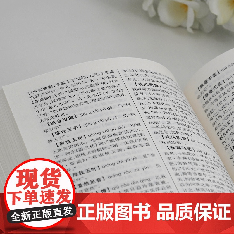 [正版]中国成语大辞典(辞海版新一版)(精) 上海辞书出版社优秀版本 中国成语 成语词典 中小学生适用 上海辞书社 世纪高清大图