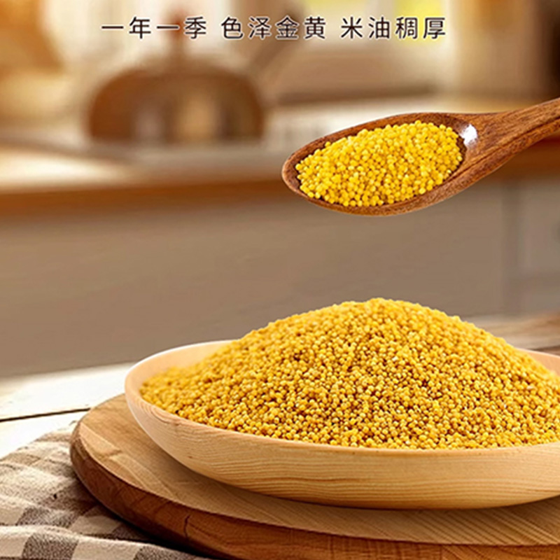 蒲臻善黄小米颗粒饱满天然原生营养温润居家常备515g高清大图