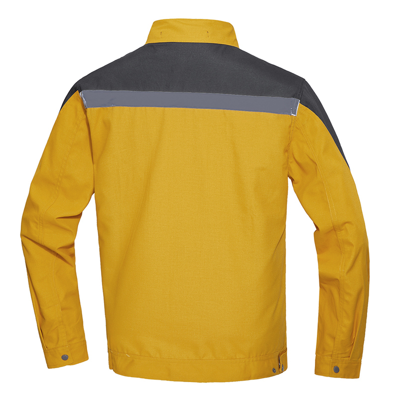 赞属 春秋装长袖套装 LZJYT-1811金黄M-4XL 套