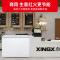 星星(XINGX)BD/BC-300JKE家用商用大容量冷藏冷冻转换单温卧式冰柜厨房商用保鲜设备微霜预涂内胆冰柜