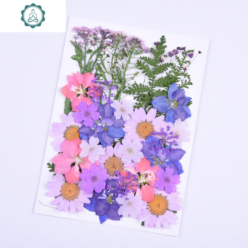 林小宅同款写真亲子装婚纱照汉服照干花花瓣贴脸妆干花压花手机壳 封后 紫色系花材包(送睫毛胶) 干花包