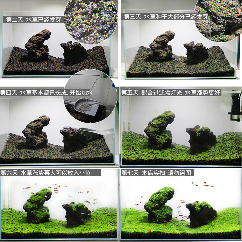 鱼缸造景套餐水摆件装饰小龟缸假山迷你观赏生态全套型布景材料