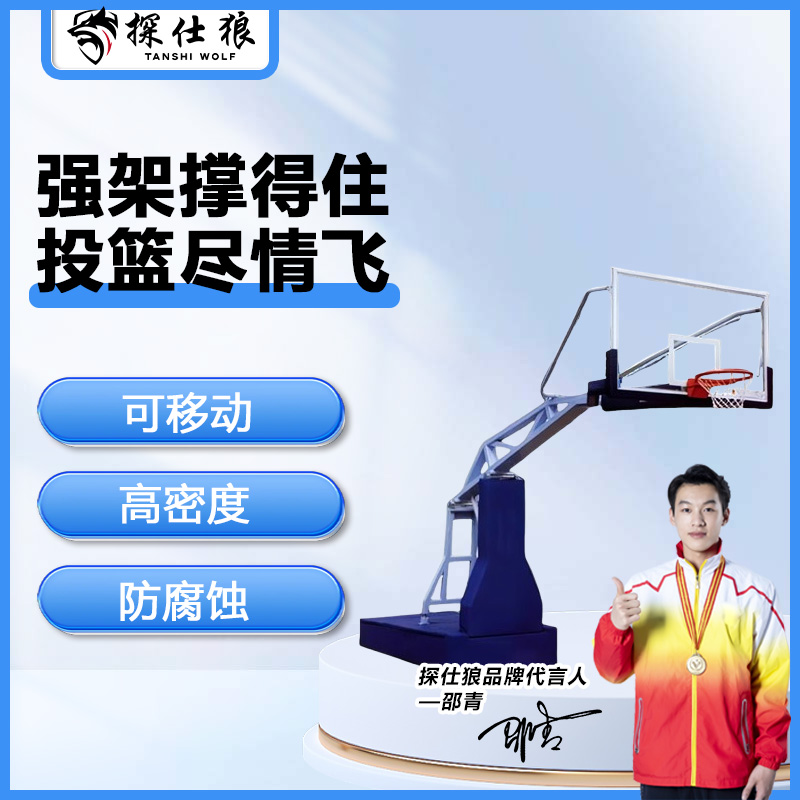 探仕狼 成人室外篮球架户外标准篮球框仿液压篮球架一副 TSL-JD01