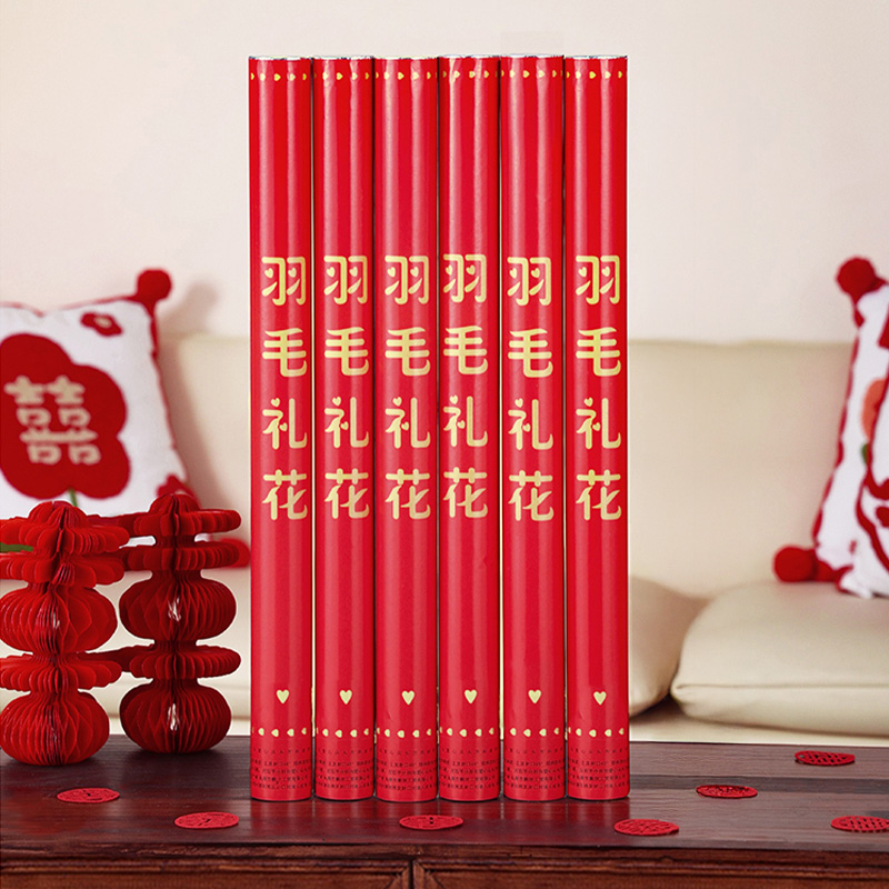 金丝莉 羽毛礼炮 JB-2509高清大图