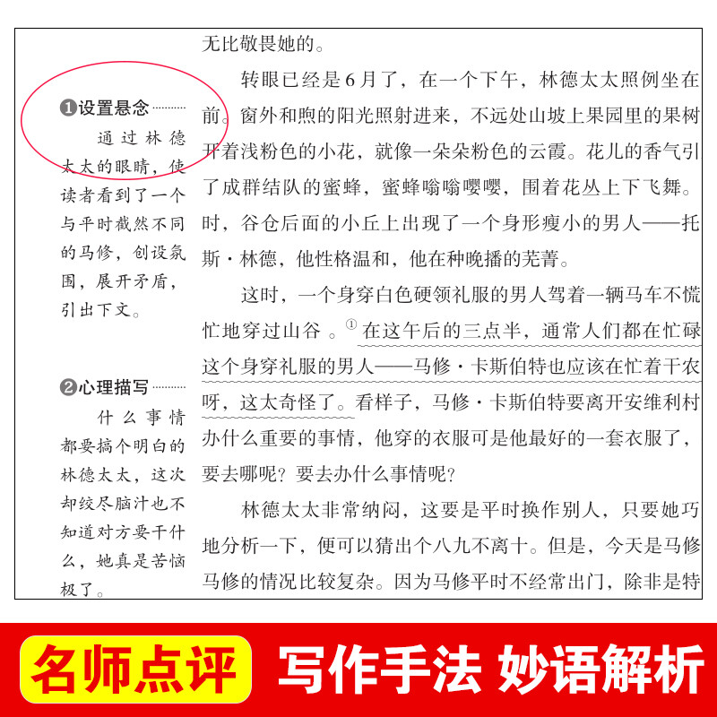 [正版]绿山墙的安妮 爱不释手的儿童成长故事 儿童文学经典书系 小学生阅读书目 青少年课外文学阅读书籍 青少年校园成长高清大图