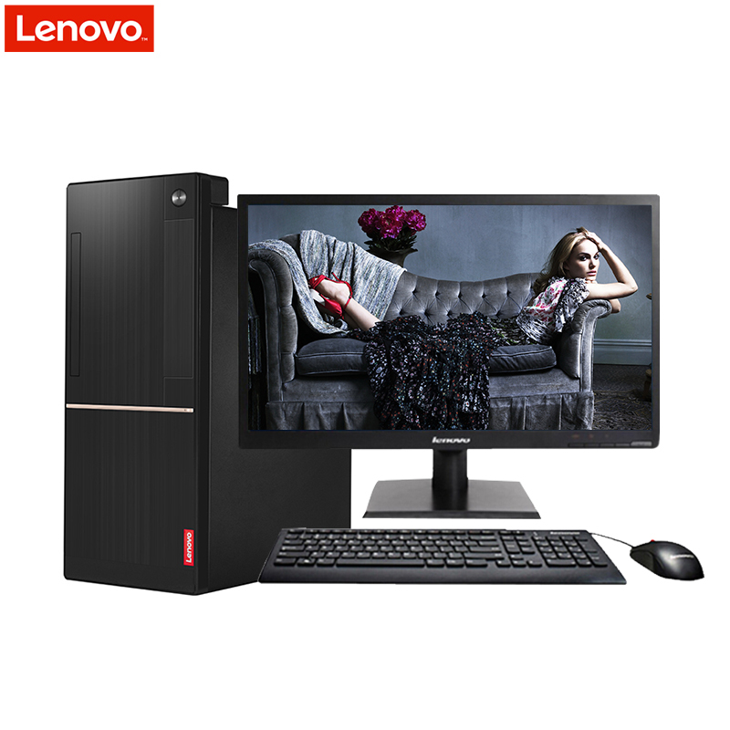 联想(Lenovo)扬天W4093d 税控商用台式电脑 20英寸屏(I3-7100 4G 1T 集显 DVD光驱)