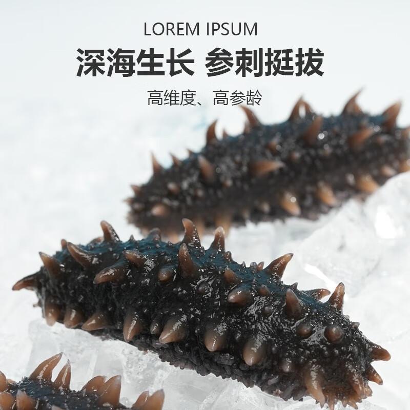 江鲜森国标鲜食海参1000g16-24只固形物大于80%底播刺参高清大图