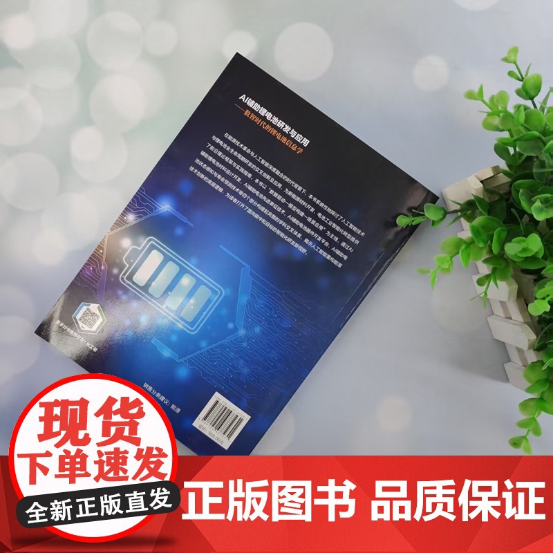 AI辅助锂电池研发与应用——数智时代的锂电池信息学 张浩 等 编 化学工业出版社高清大图