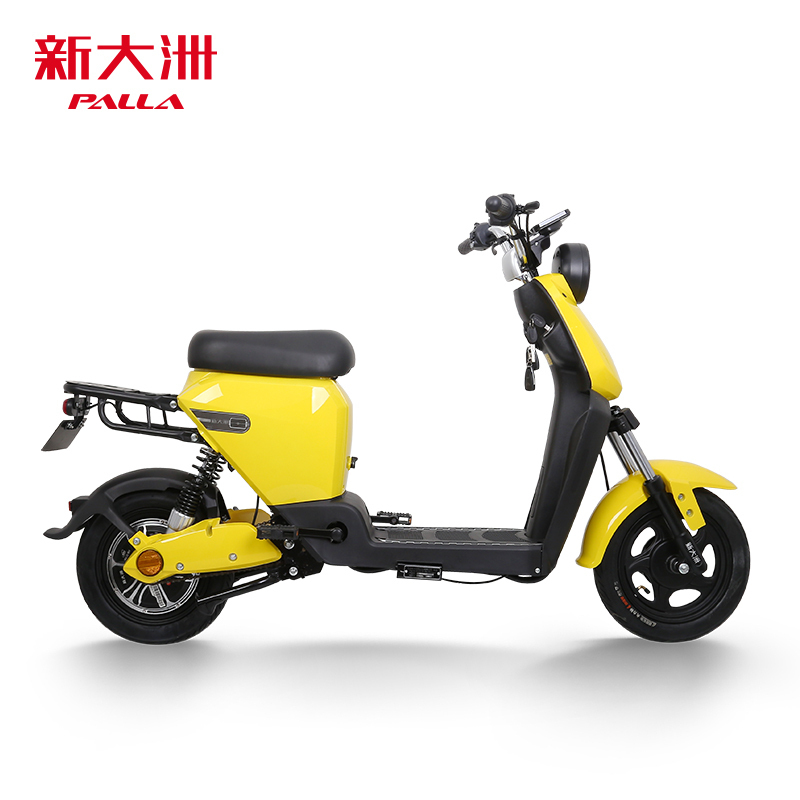 新大洲电动车 PALLA新国标电瓶车48V14AH锂电池电动自行车 B2