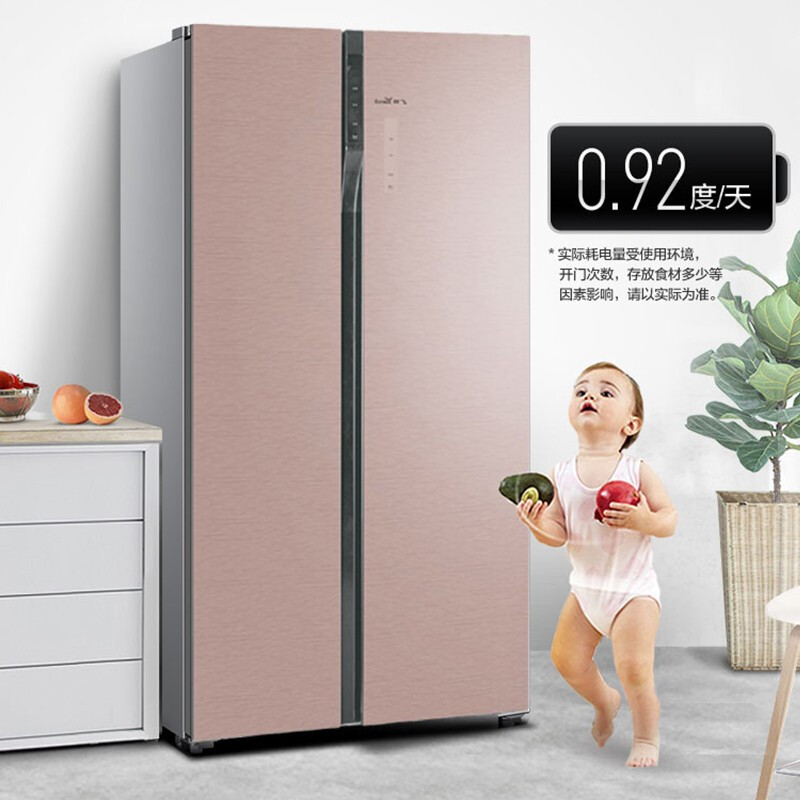 新飞(FRESTEC) BCD-452WG9AD 452升 对开门变频冰箱家用双开门风冷无霜电冰箱