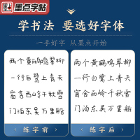 行楷速成基础教程5本套装 [正版]字帖荆霄鹏行楷书法临摹字贴成人行书钢笔练字帖成年大学生练字行楷字帖女生字体漂亮高中生速