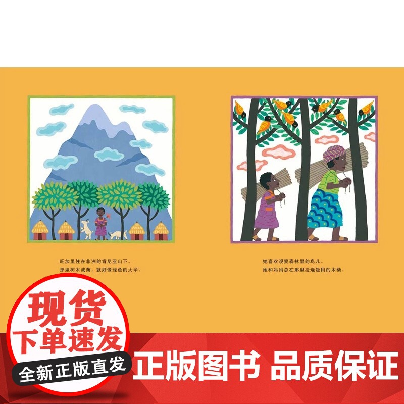 经典正版传记绘本 和平树 一个来自非洲的真实故事 花婆婆绘本 天空在脚下 雪花人 鞋子里的盐 0-2-3-6-8-9周岁高清大图