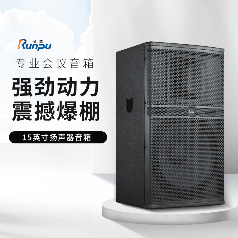 润普Runpu会议音频扩声系统专业双15英寸会议音箱无源音响礼堂会议室扩声音响设备RP-SY-XYC15高清大图