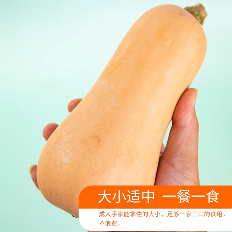 [西沛生鲜 ]陕西奶油南瓜 1斤 陕西小南瓜老南瓜软糯甜香嫩南瓜宝宝辅食